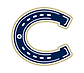 Casteel High School Football logo