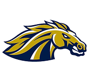 Casteel High School Football logo