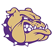 Casteel High School Football opponent logo