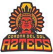 Casteel High School Football opponent logo