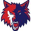 Casteel High School Football opponent logo